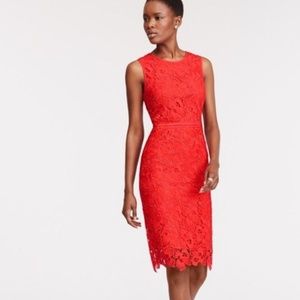 Ann Taylor Red Lace Sheath Dress, Size 8T